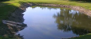 Aquatic Herbicides: Pre-Emergent Pond Weed Control & Lake Weed Control