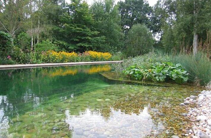 How to Clean a Pond: Multiple Options to Remove Muck and Clay Particulates (Updated)